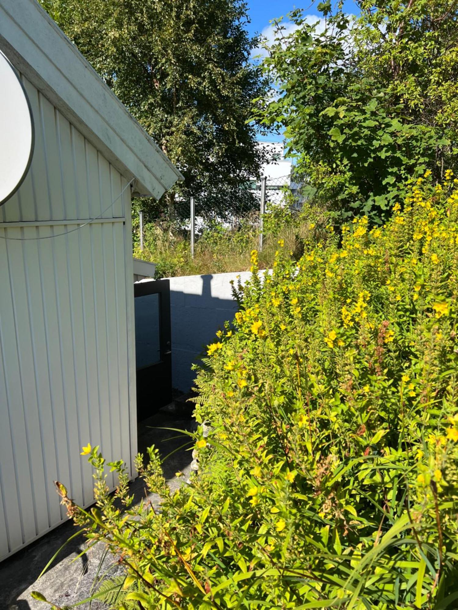 Lite Hus Med Egen Inngang - Sentral Beliggenhet เฮาเกซุนด์ ภายนอก รูปภาพ
